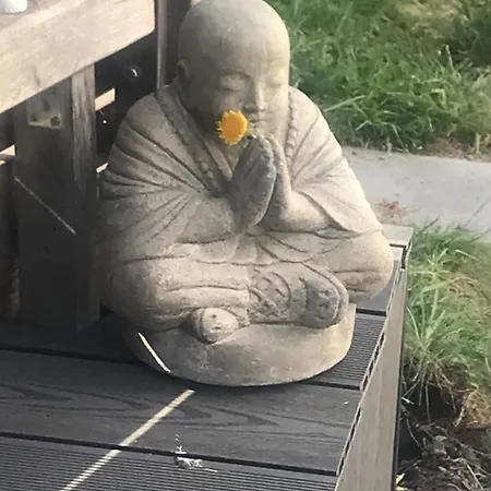 公寓 Moderne Mit Wellnessflair