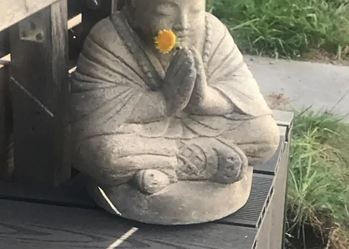 Apartment Moderne Mit Wellnessflair